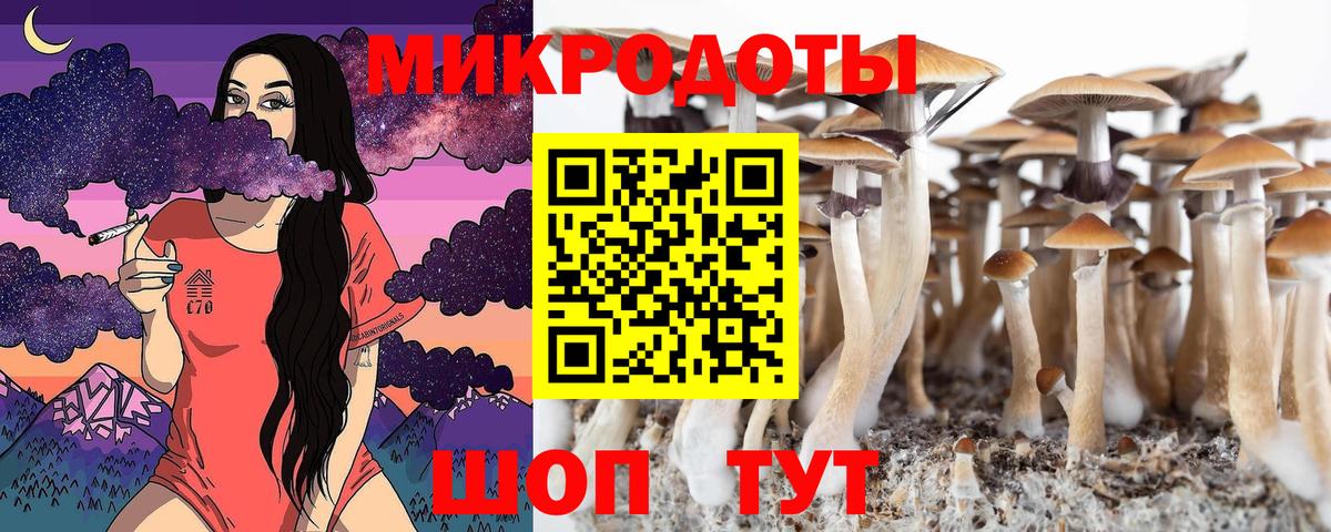 Псилоцибиновые грибы прущие грибы Вологда