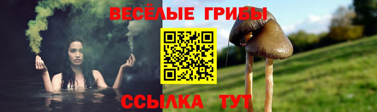 Галлюциногенные грибы прущие грибы  Вход с VPN  Вологда 